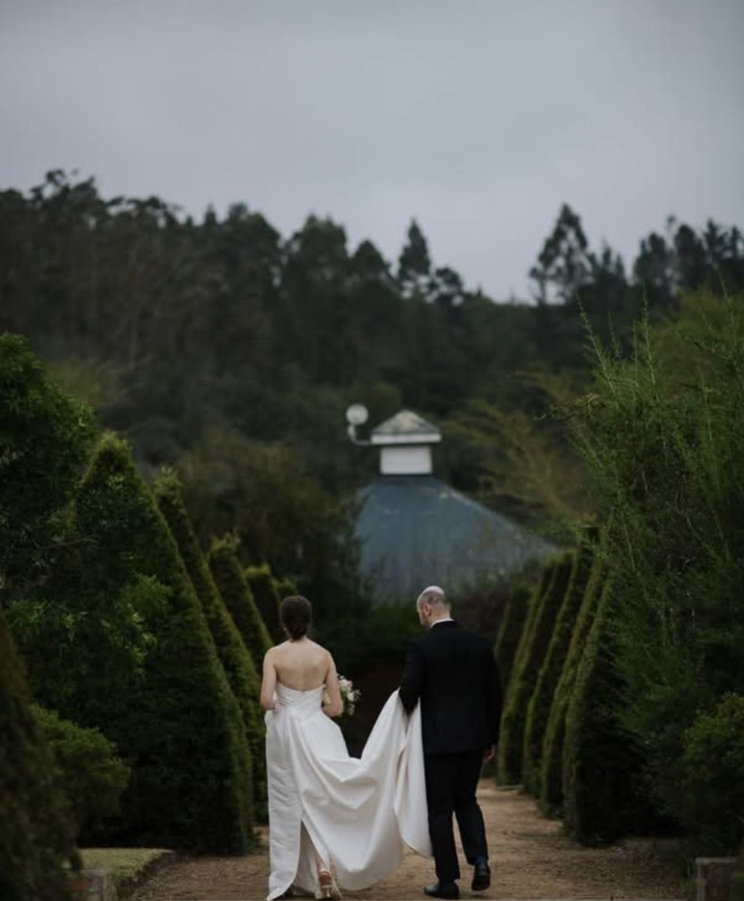 Bride and groom walking hand in hand through a hedge garden